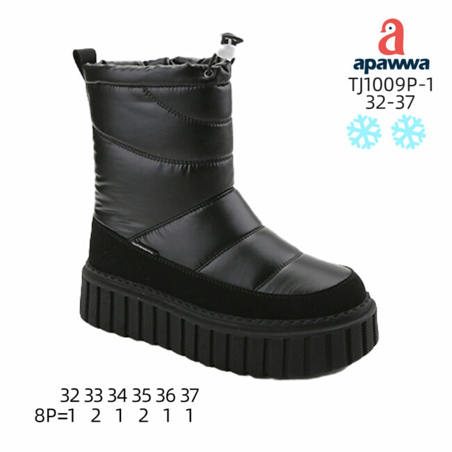 TJ1009P-1
