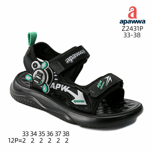 Z2431P