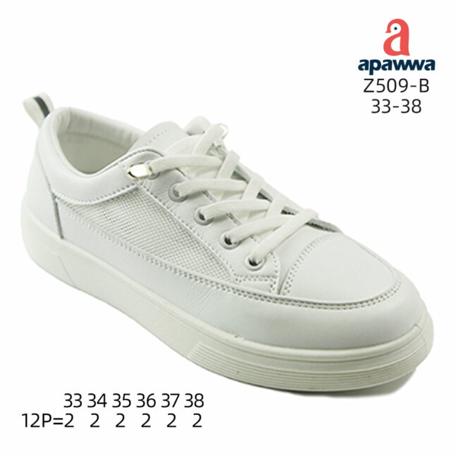 Z509-B