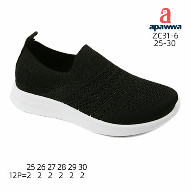 ZC31-6